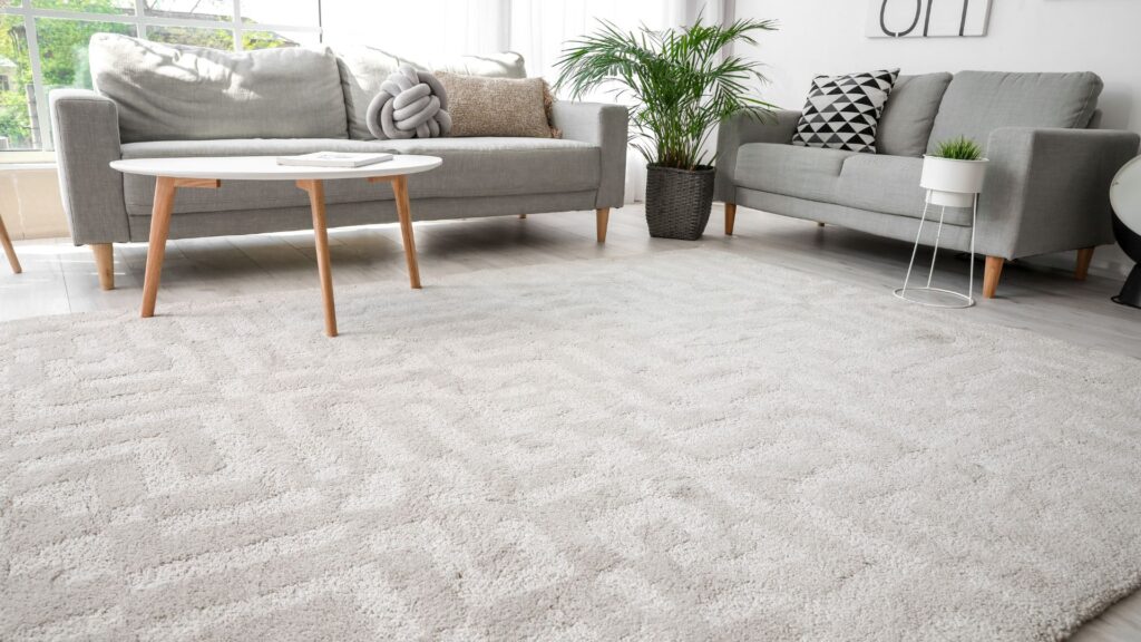 carpet in living room-trendyfuss.com